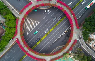 我院人行天桥、车行高架桥绿化养护及配套设施维护项目 获市绿化养护优良样板工程—道路绿地类金奖